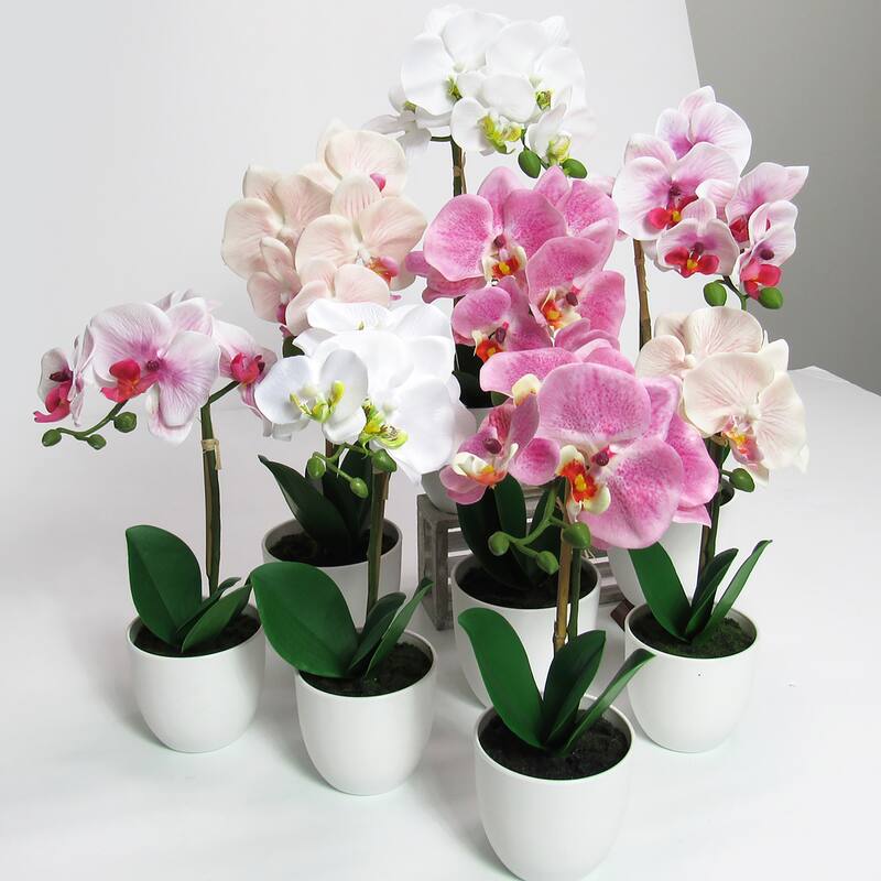 Artificial Phalaenopsis Orchid Flower Arrangement in White Pot 13in