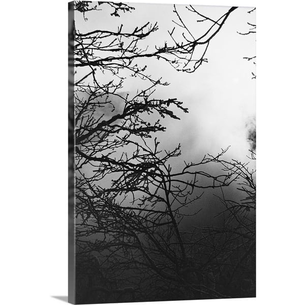 Silhouette Of Tree Branches On Foggy Morning Canvas Wall Art Overstock