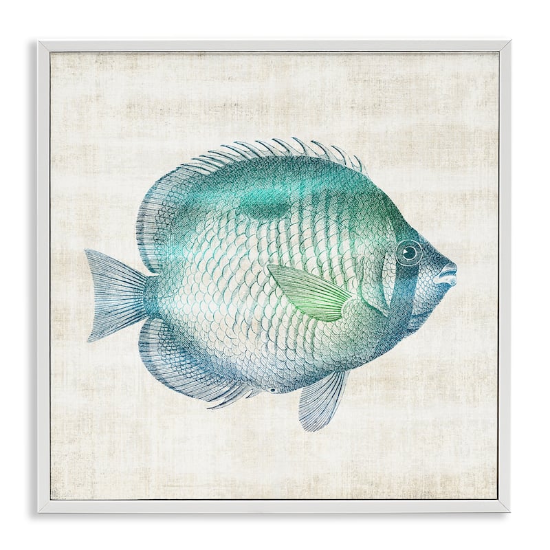 Stupell Fish Impression Sea Life Framed Giclee Art Design By Susan Arnot - 12 x 12 - White