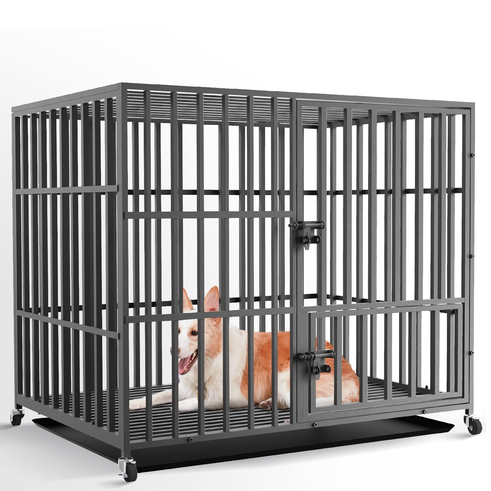 Dog cage with tray sales