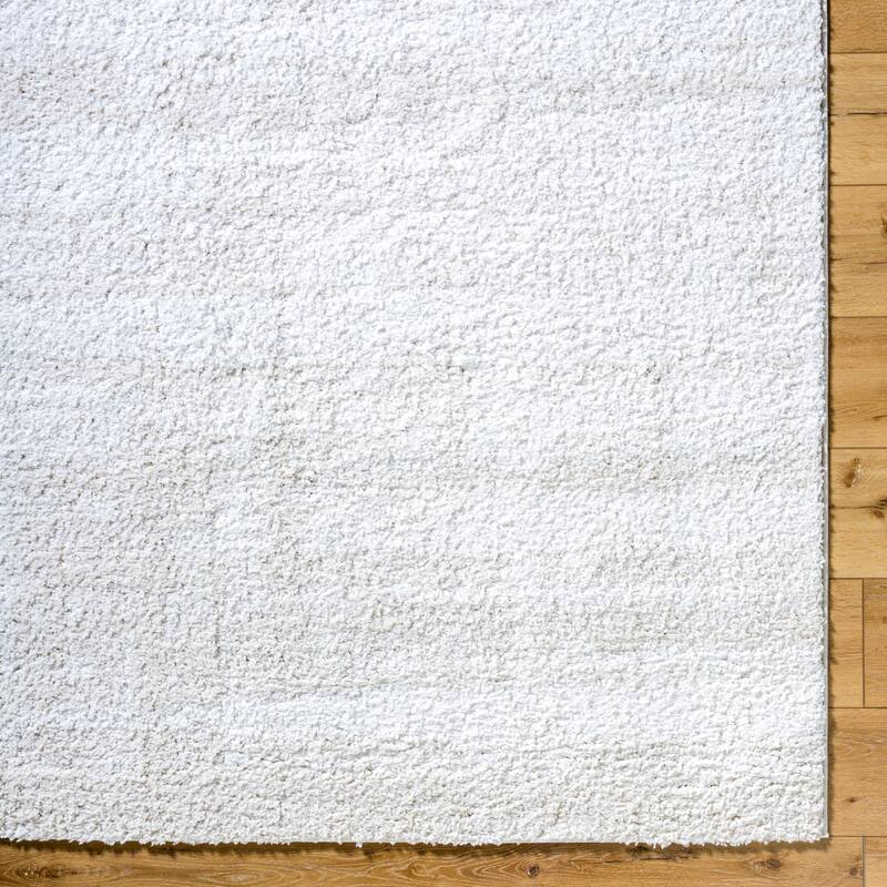 Livabliss Modern & Contemporary Sacramento Shag Ombre Area Rug