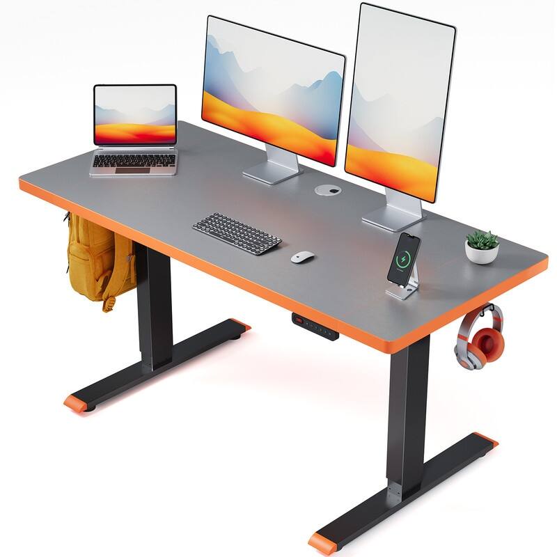 SIAGO 48 x 24 Inch Computer Desk Height Adjustable Electric Sit Stand Up Desk - 24" x 48" - Grey