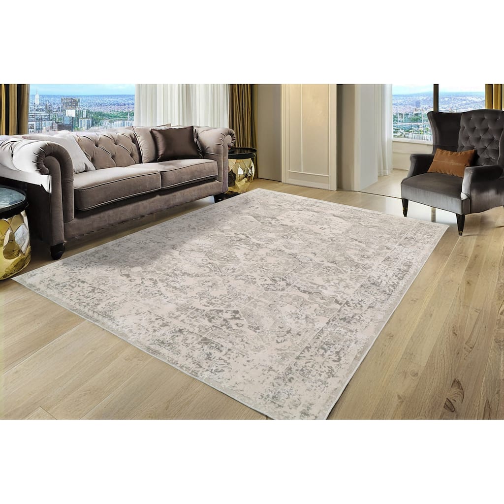 Dynamic Rugs Quartz Transitional Area Rug