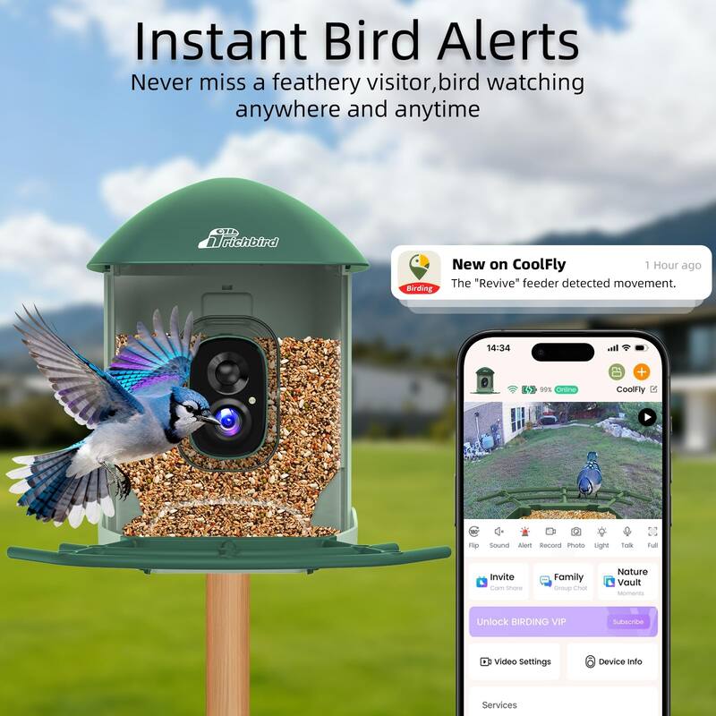 Smart Solar Bird Feeder with Camera and Interactive App