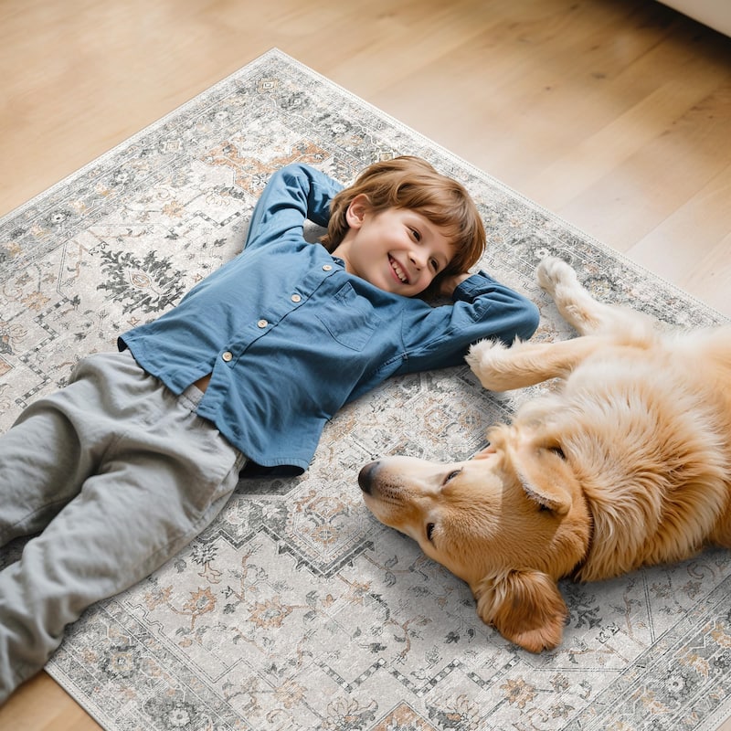 Mcow Low Pile Machine Washable Non-Slip Area Rug