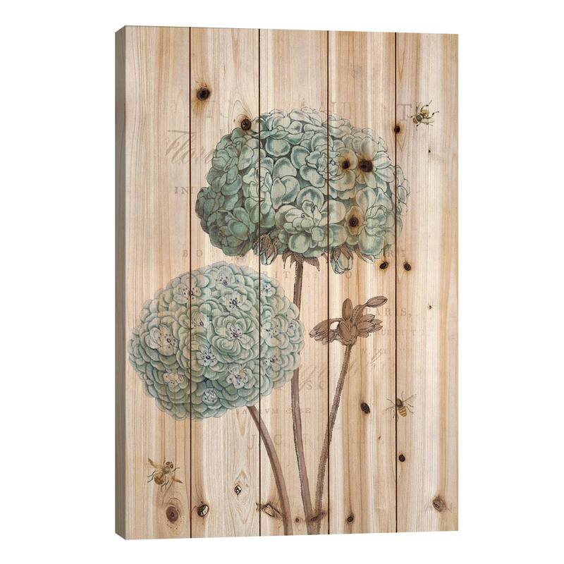 Geranium Study II Print On Wood by Katie Pertiet - Multi-Color - 26x18x1.5