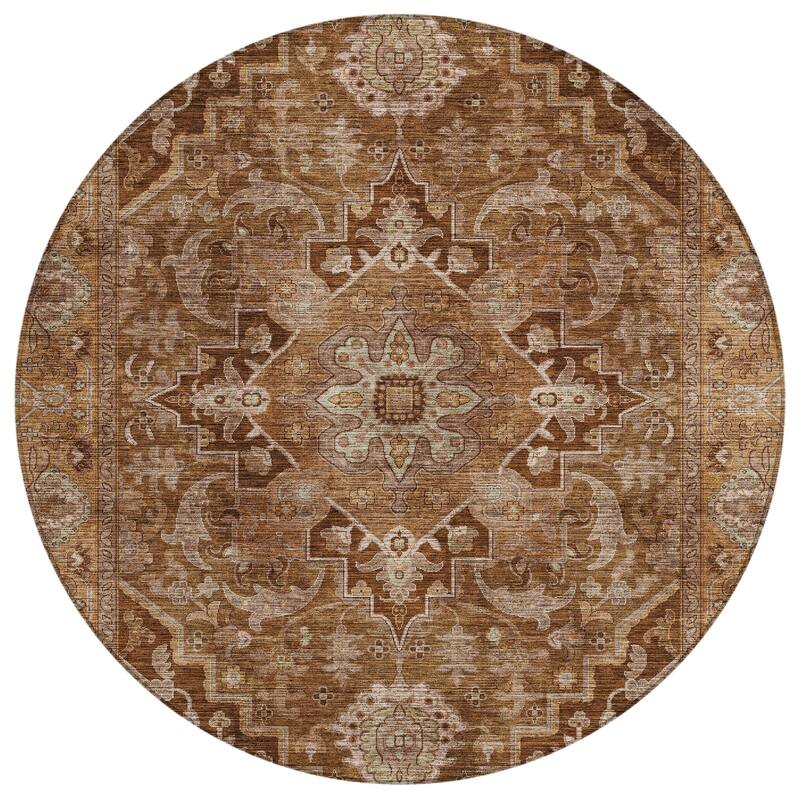 Machine Washable Indoor/Outdoor Traditional Medallion Chantille Rug