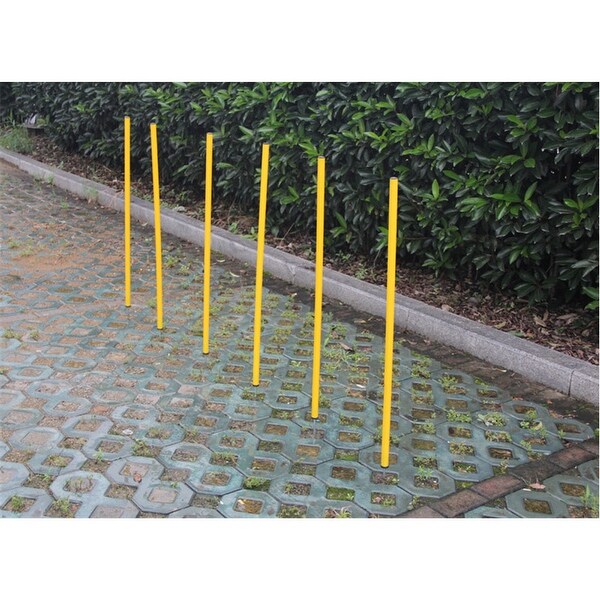 agility training poles