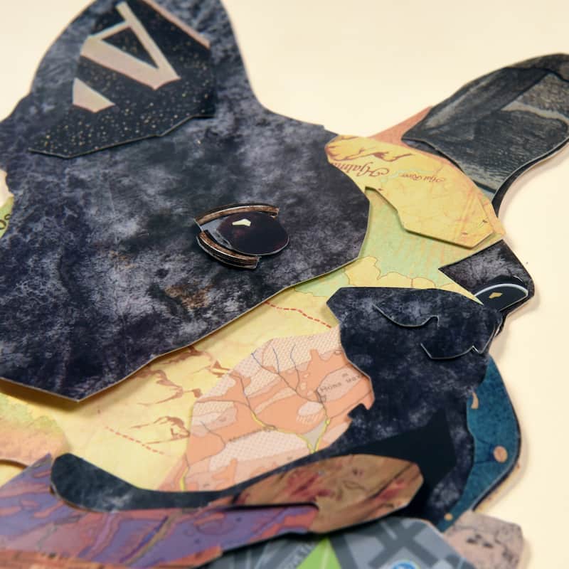 Empire Art "Boston Terrier Closeup" Alex Zeng's dimensional collage, under glass & a black shadow box frame