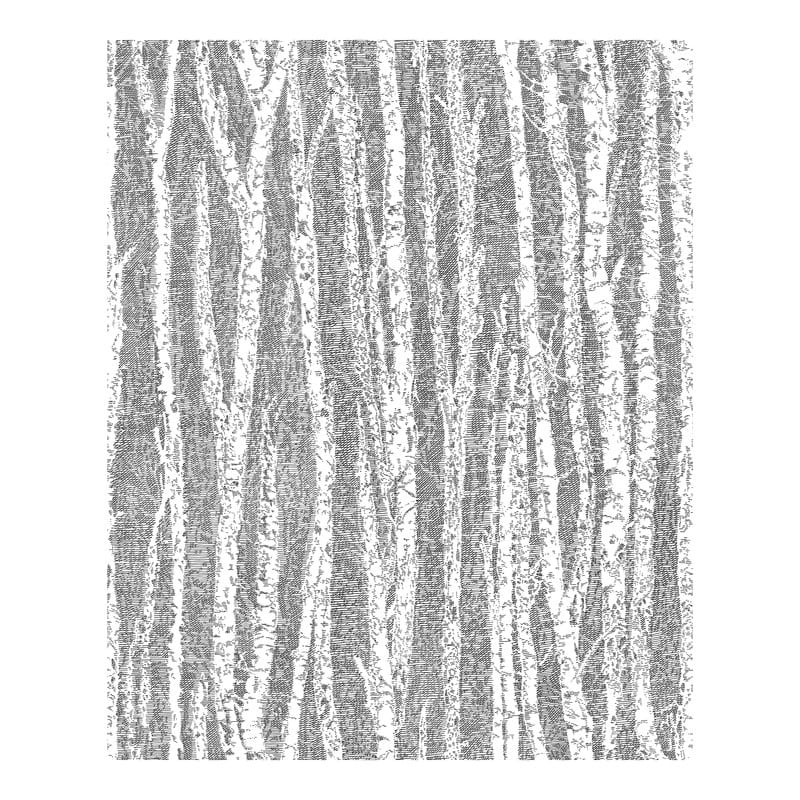 Advantage Flay Black Birch Tree Wallpaper - 20.5 x 396 x 0.025