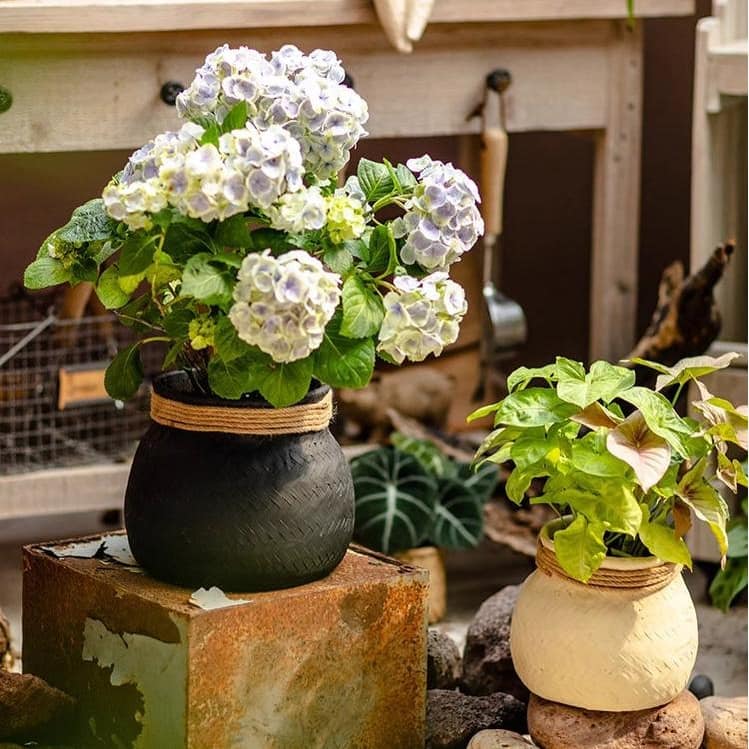 RusticReach Faux Bamboo Woven Cement Planter