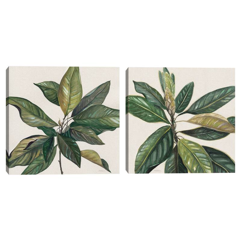 Magnolia Leaves I, Magnolia Leaves II by Carol Robinson Canvas Art Prints