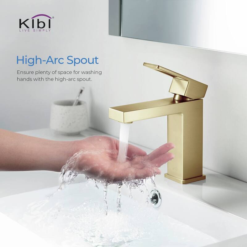 Single-handle Bathroom Vanity Sink Faucet w/ Water Hose