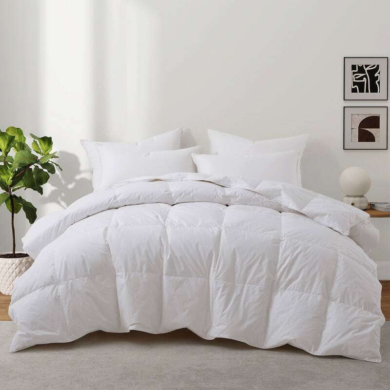 All Season 100% Cotton Feather Down Comforter Duvet Insert - Full - Queen - White