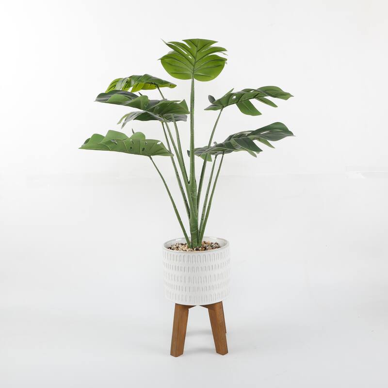 32" Split-leaf in 8" Raindrop on Stand