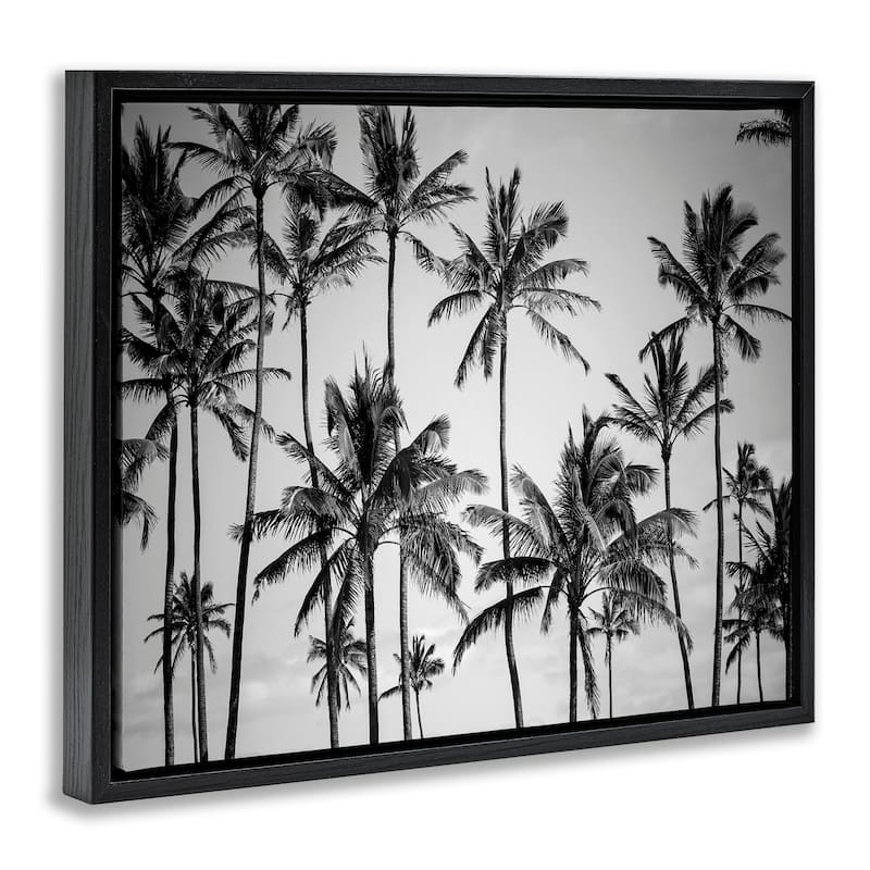Stupell Palm Trees Skyline Black and White Photography Floater Frame