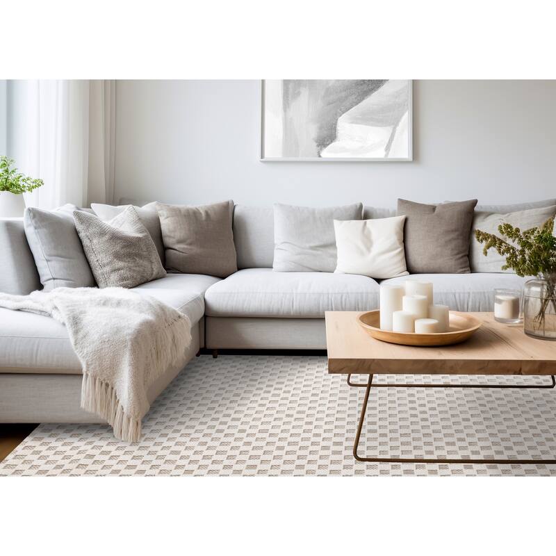 Small Checkered Textured Looped Rug in Cream