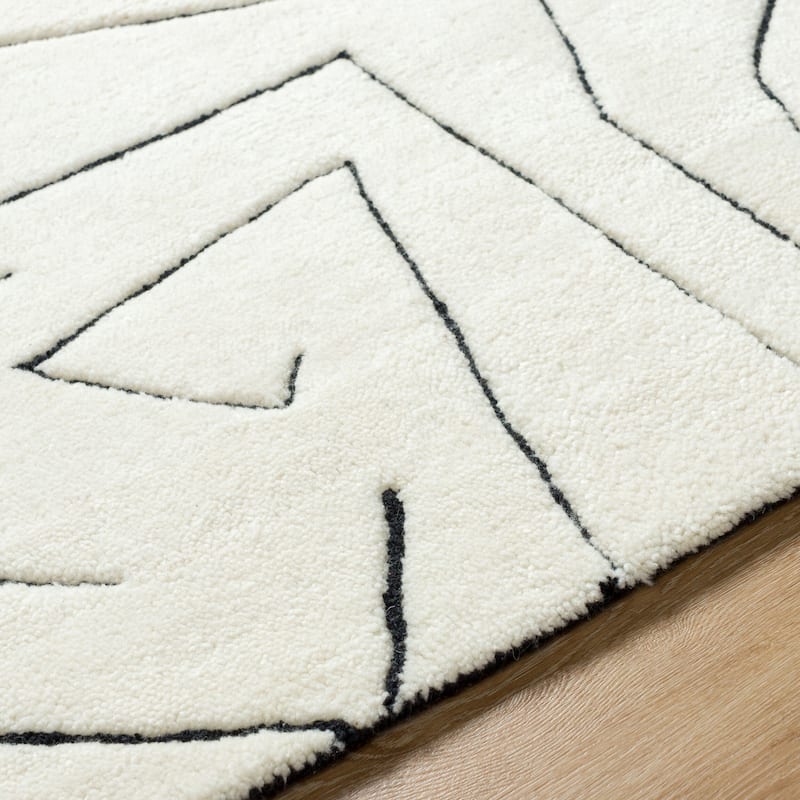 Shipp Moroccan Area Rug