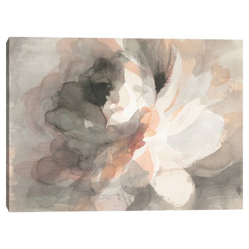 Abstract Peony Crop by Danhui Nai Canvas Art Print