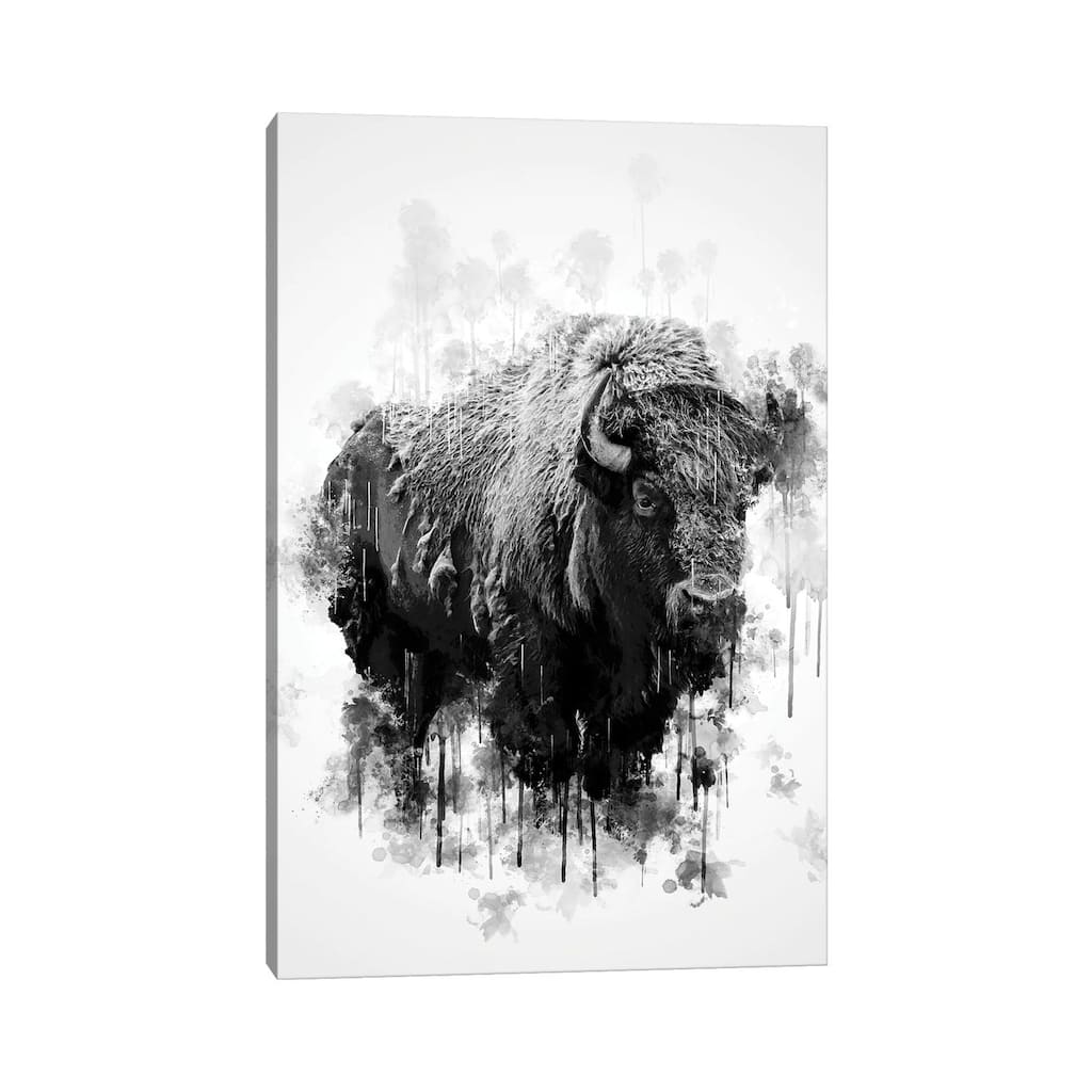 iCanvas "Bison In Black And White" by Cornel Vlad Canvas Print