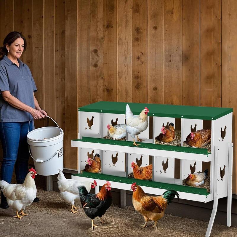 Wall-Mount or Free-Standing Metal Chicken Nesting Box for Hens, Green with Legs