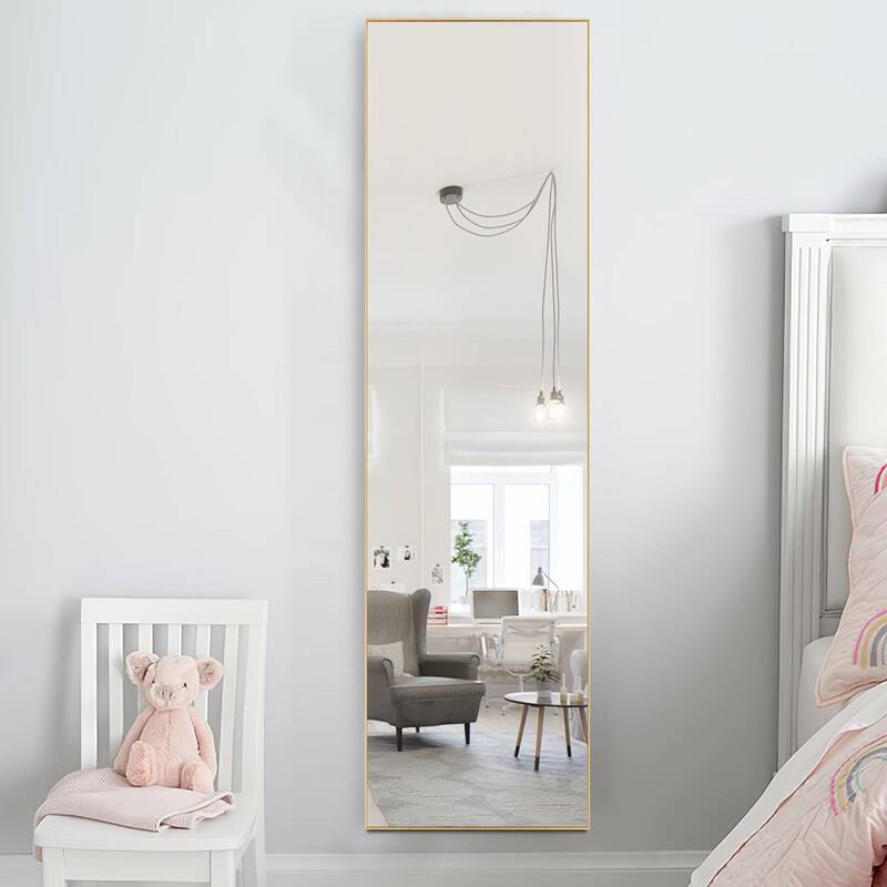 Modern Aluminum Alloy Thin Framed Full Length Floor Mirror - 49×20 - Gold