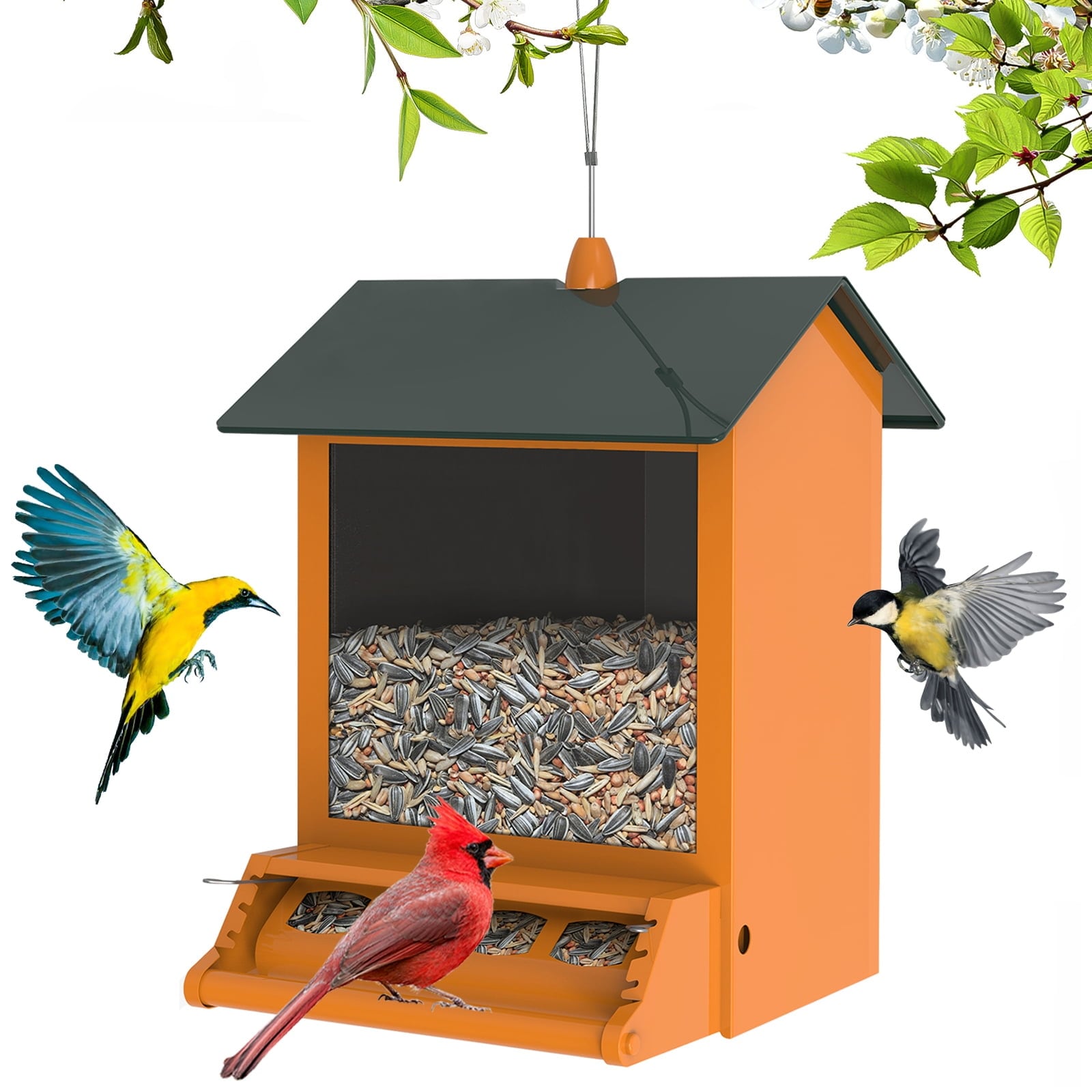 Bird proof outdoor pet feeder online