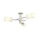 Option Polished Nickel / Matte White