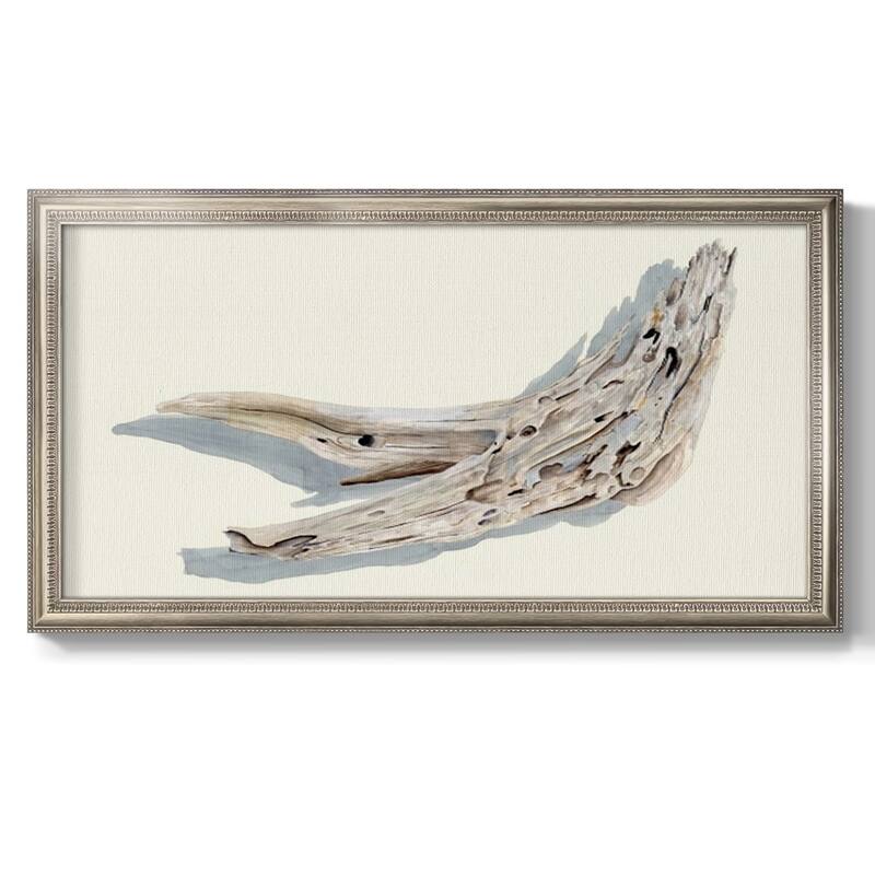 Driftwood Study III Premium Framed Canvas- Ready to Hang