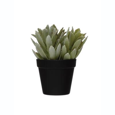 Faux Succulent in Pot