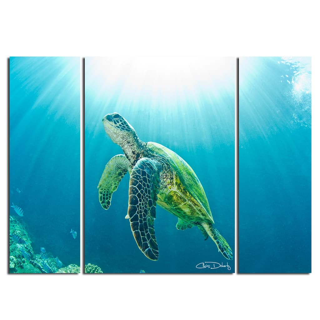Ready2HangArt 'Sea Turtle' 3-Piece Wrapped Canvas Wall Art Set