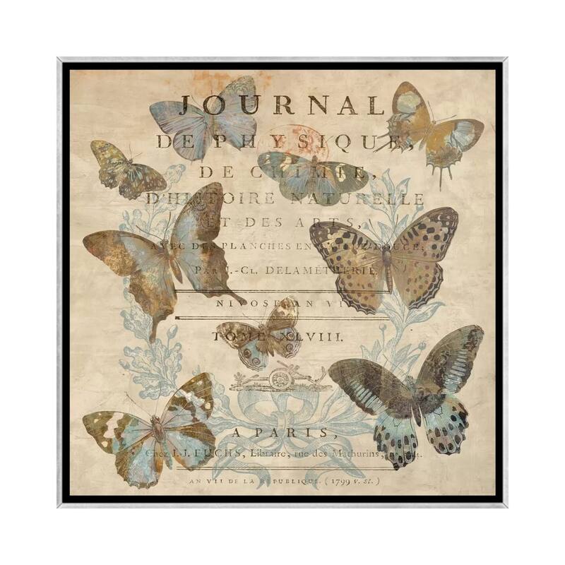 iCanvas "Papillon I" by Deborah Devellier Framed