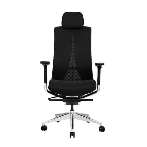 Lanbo Ergonomic Lumbar Support Office Chair, High Back Support Desk Chair with Swivel Wheels