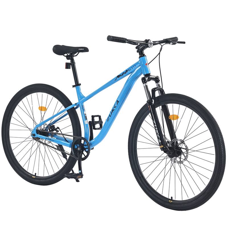 29 Inch Single Speed Mountain Bike with Front Suspension, Double Disc Brakes, Steel Frame for Adults, Boys & Girls - Blue