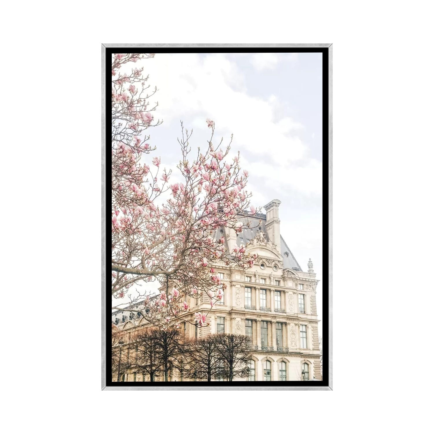 iCanvas "Paris Magnolia" by Grace Digital Art Co Framed