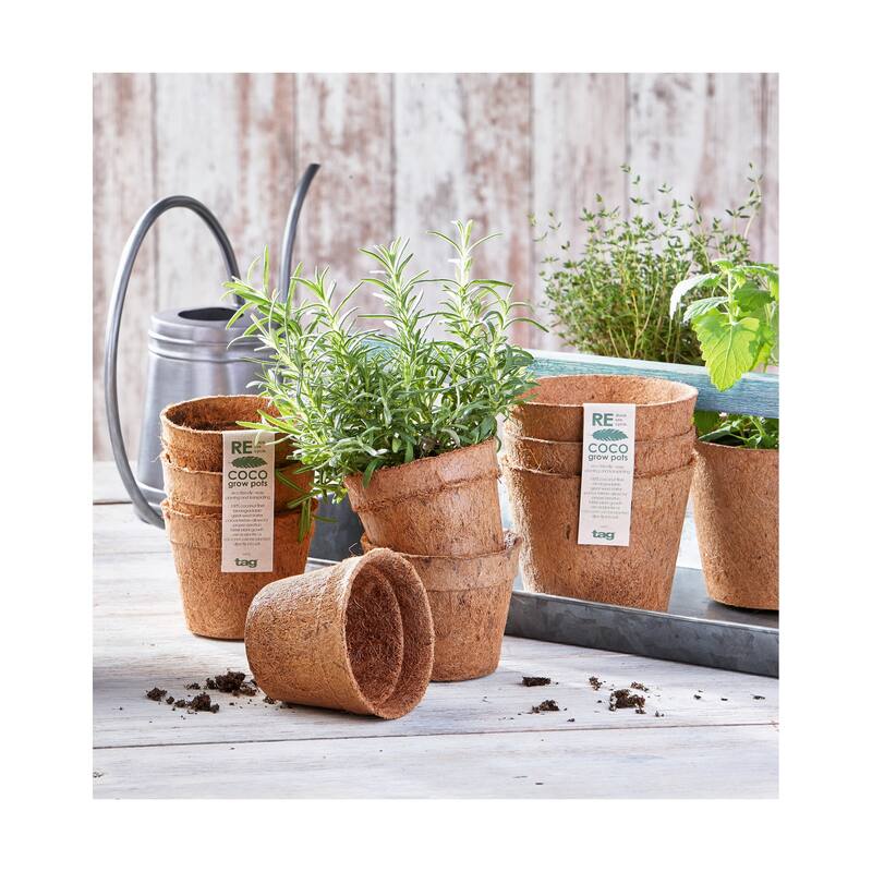 Eco Coco Seed Start Pots Set of 3 - Natural Planters for Garden, 3.2" H x 4" L x 4" W, Easy Clean, Summer Gardening