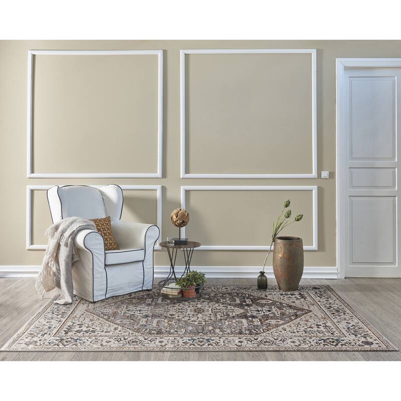 Strick & Bolton Renew Traditional Medallion Area Rug