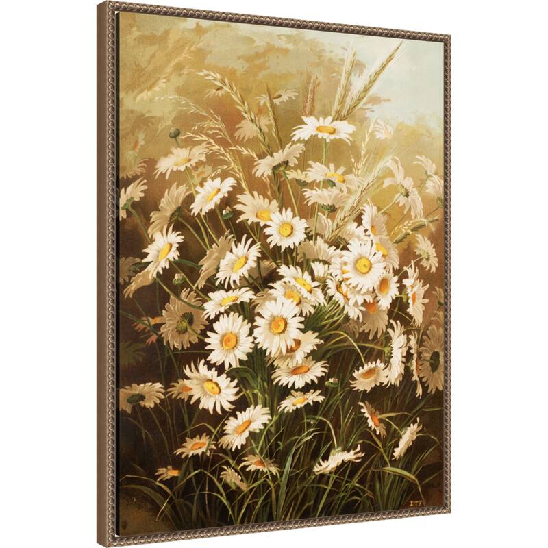 Daisies By Ellen Thayer Fisher by Ellen Thayer Fisher (23 x 30 in.), Framed Canvas Wall Art Print