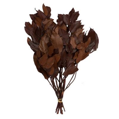 Vickerman Natural Botanicals 16-22" Copper Salal Foliage, 6 oz. Bunch