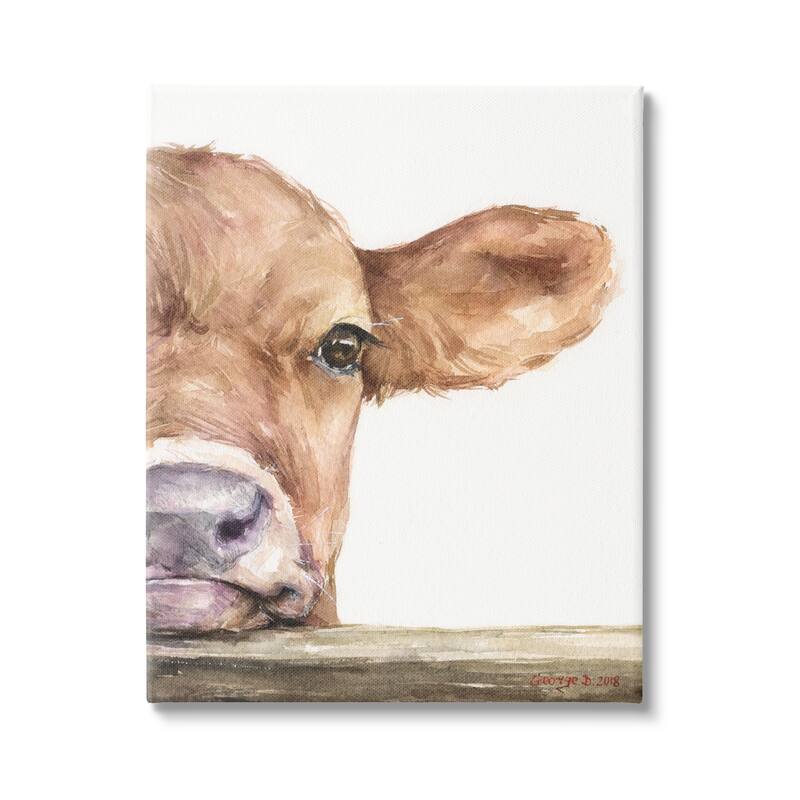 Stupell Baby Calf Cow Resting Head Up-Close Rural Canvas Wall Art, Design by George Dyachenko - 30 x 40