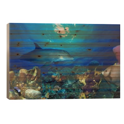 Bottle-Nosed dolphin and Gray angelfish on coral reef in the sea Print On Wood by Panoramic Images - Multi-Color