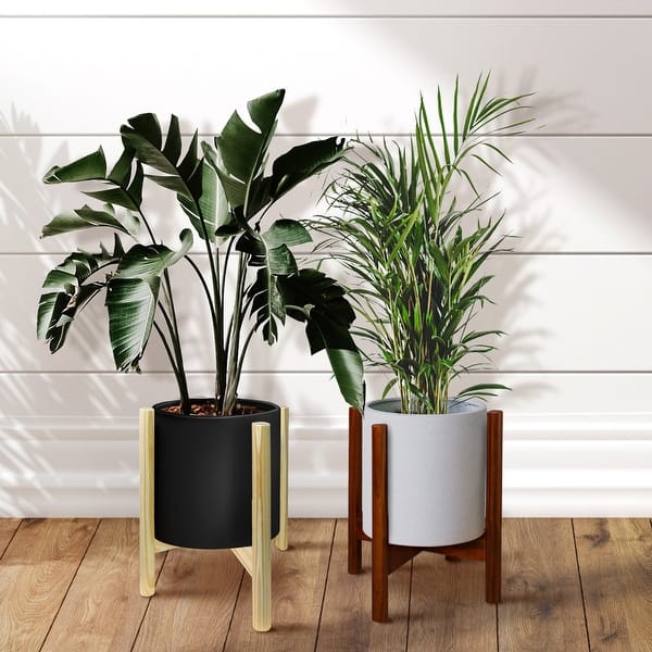 indoor plant starter kit LetPot SS-PRO Smart Seed Starter Kit main image 0