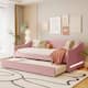 Option Pink