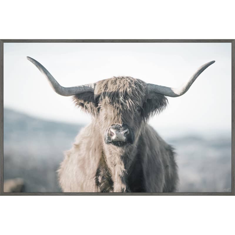 Highland Close-Up Floater Framed Print on Canvas