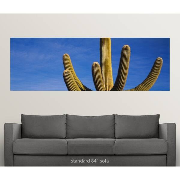 Poster Art Print Low angle view of a Saguaro cactus Home Decor