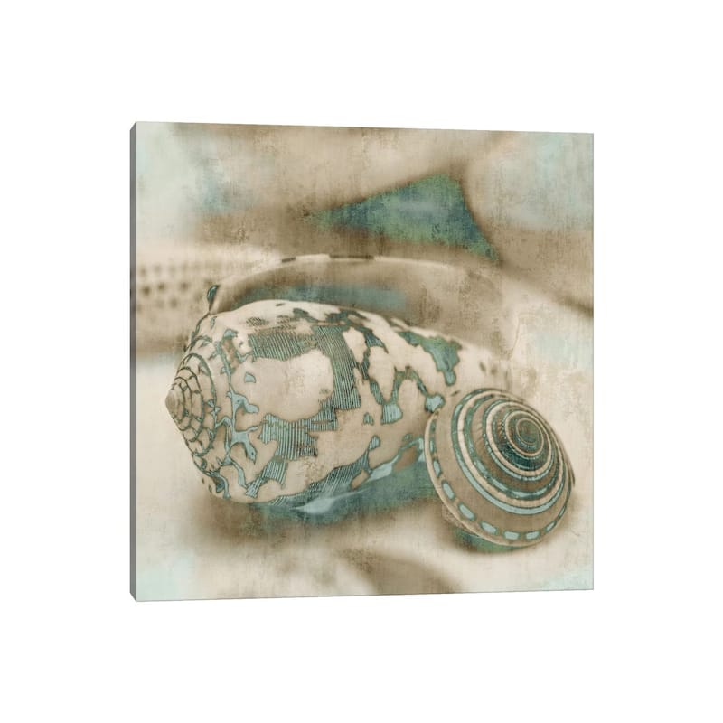 iCanvas 'Coastal Gems I' by John Seba Canvas Print