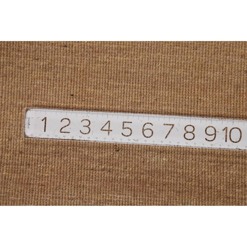 Light Brown Modern Gabbeh Oriental Foyer Rug Hand-Knotted Wool Carpet - 3'3"x 4'10"