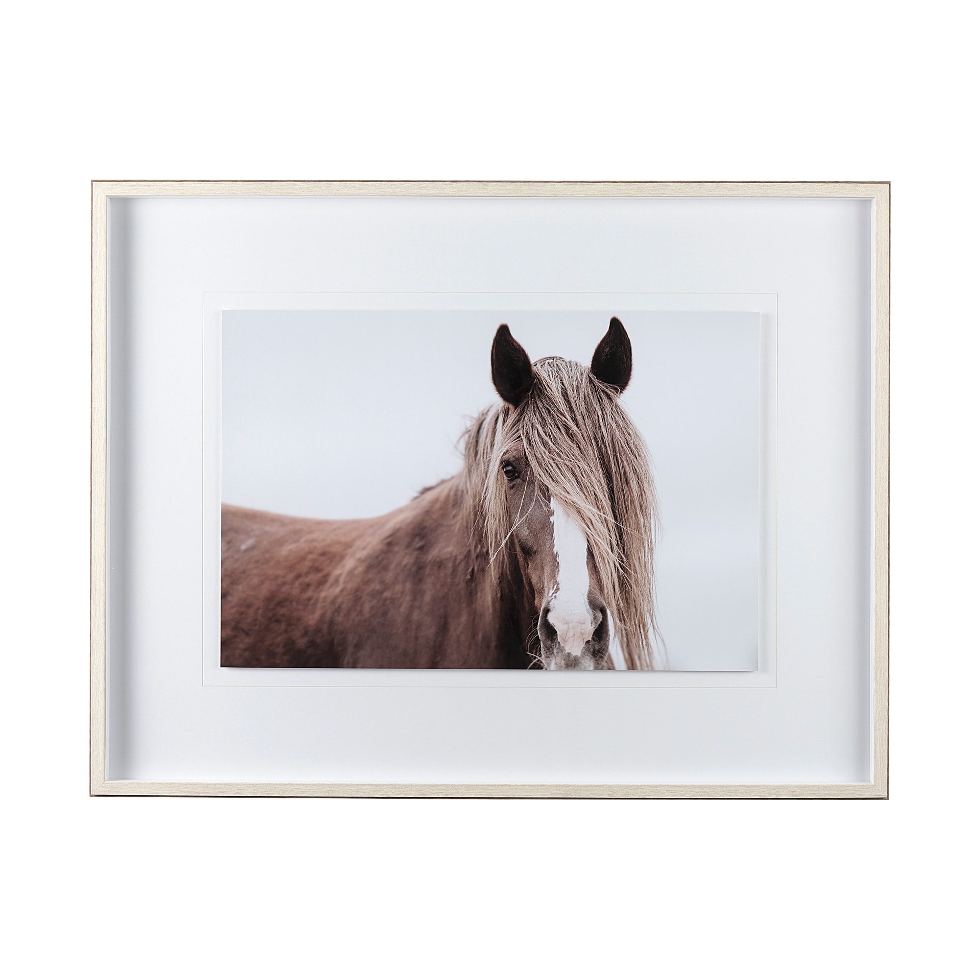 Mercana Wild Mane by Mercana Studio a Framed Photo Art Print Matted under Glass