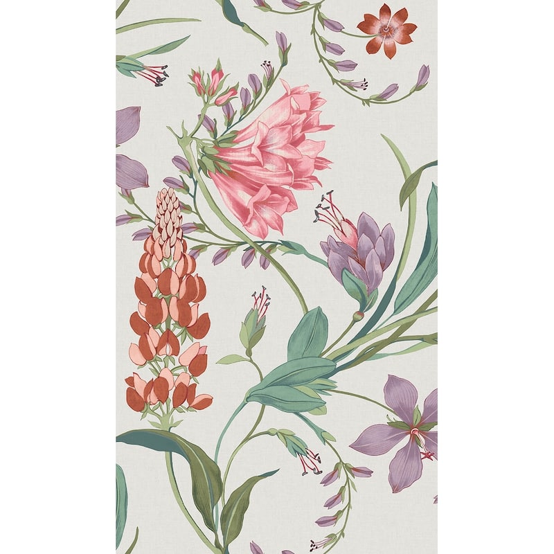 Graham & Brown Botanists Scroll Pink Wallpaper
