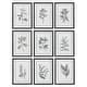 preview thumbnail 1 of 5, Uttermost Farmhouse Florals Framed Prints (Set of 9)